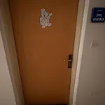 Apartma Snezko Apartment