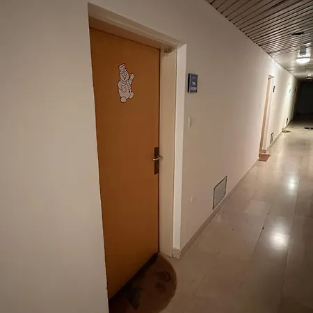 Apartament Apartma Snezko Kranjska Gora