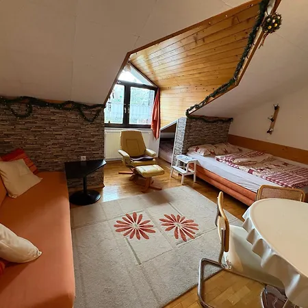 Apartma Snezko