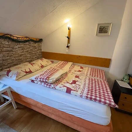 Apartma Snezko 克拉尼斯卡戈拉