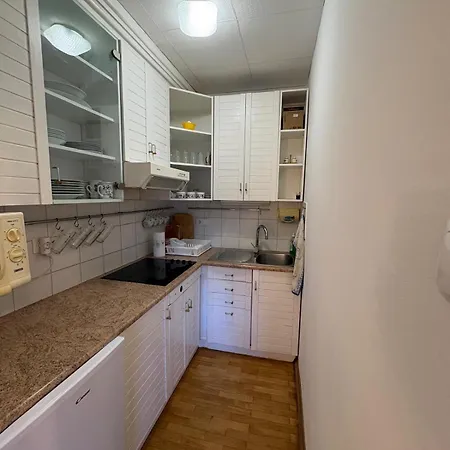 Apartma Snezko *