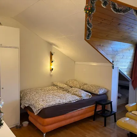 Apartma Snezko Διαμέρισμα