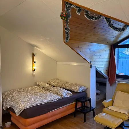 Apartma Snezko