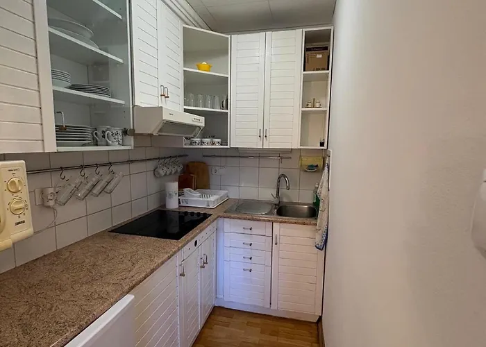 Apartma Snezko *